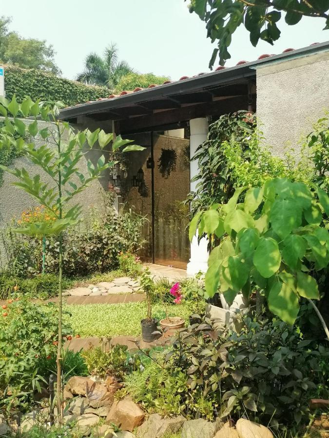 Granados Bed & Breakfast Asuncion Ngoại thất bức ảnh