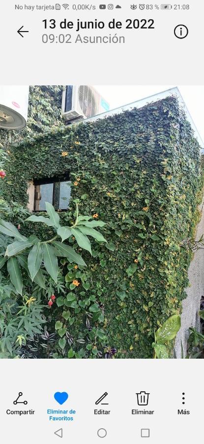 Granados Bed & Breakfast Asuncion Ngoại thất bức ảnh