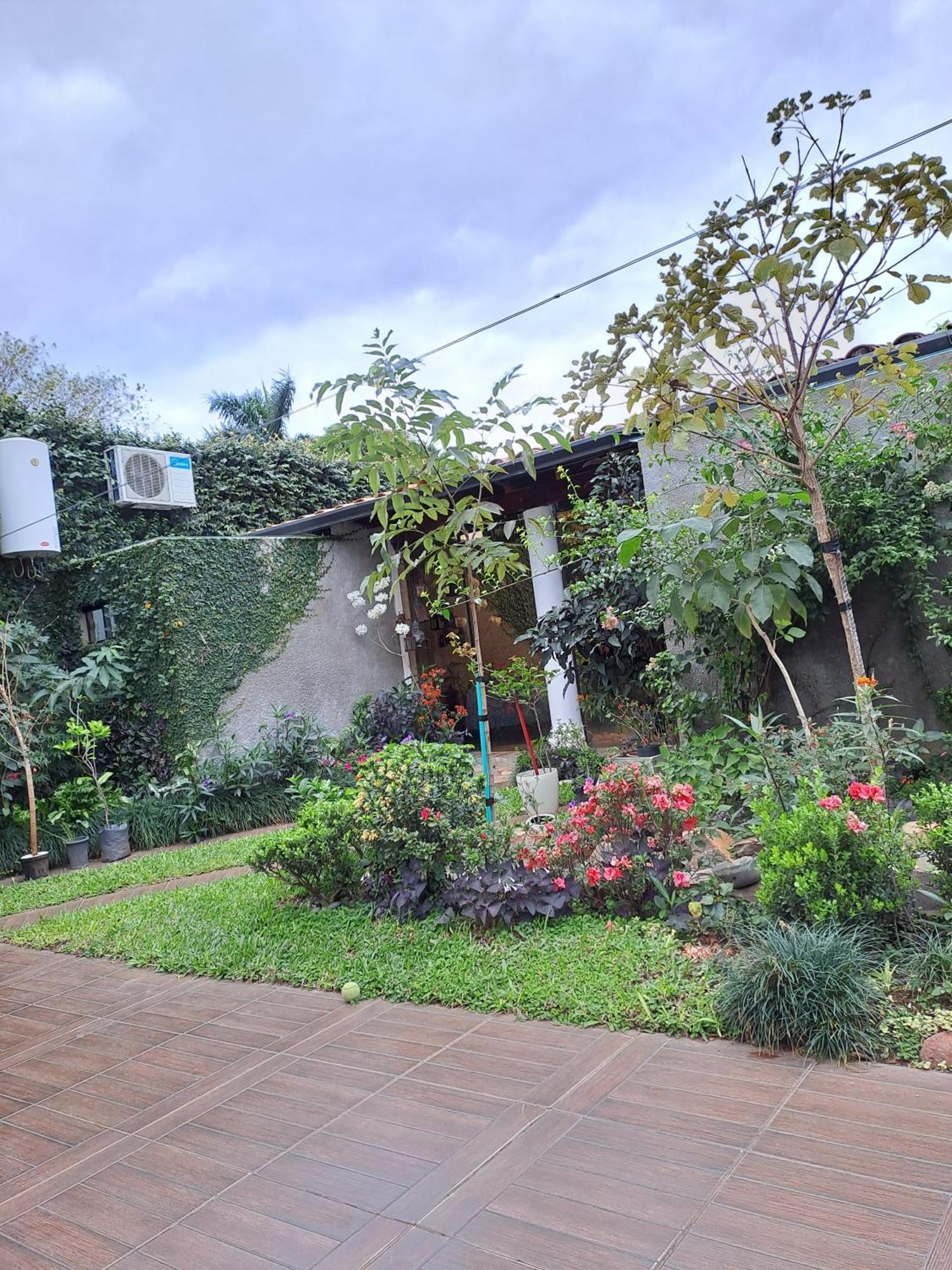 Granados Bed & Breakfast Asuncion Ngoại thất bức ảnh
