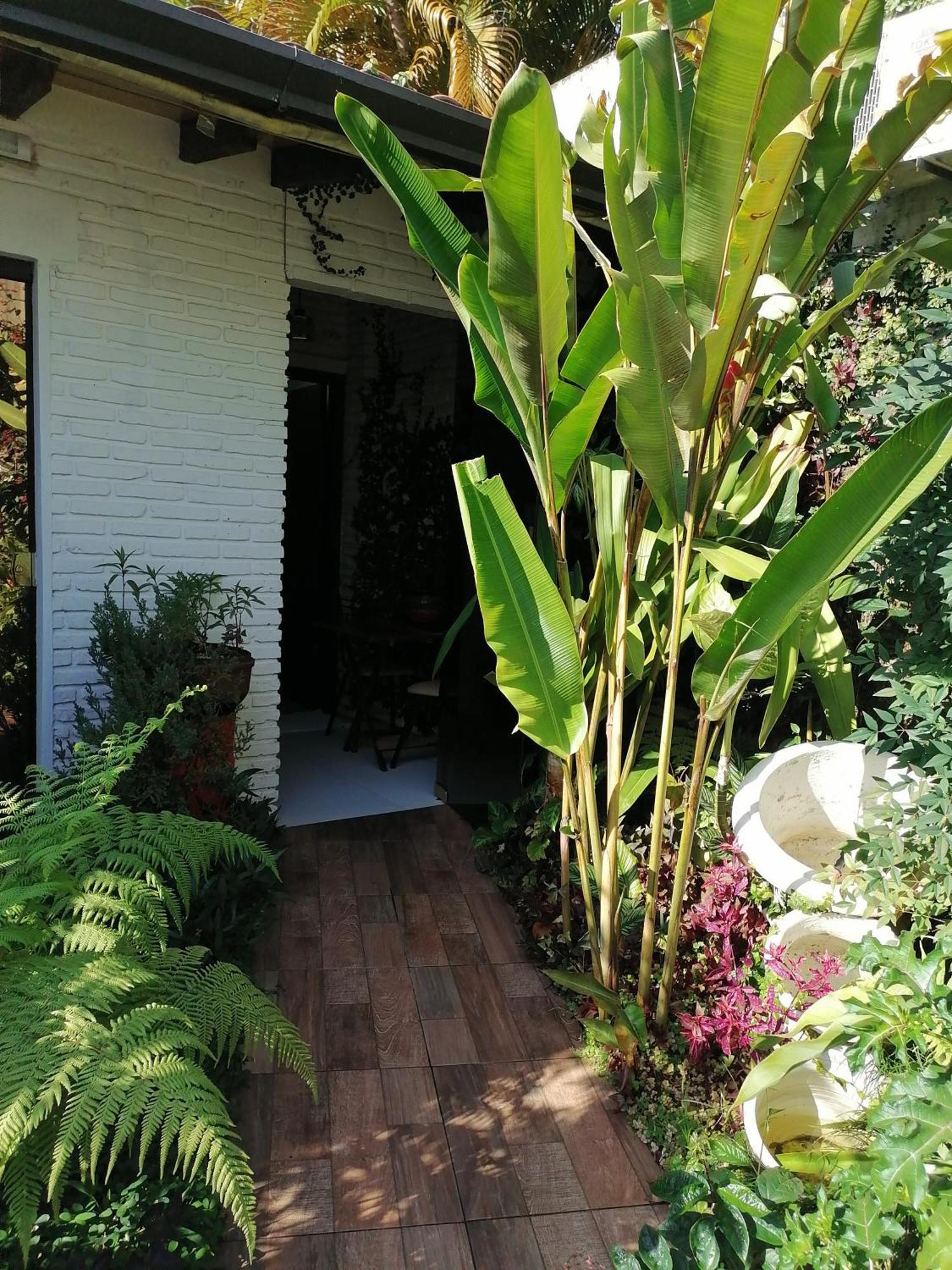 Granados Bed & Breakfast Asuncion Ngoại thất bức ảnh