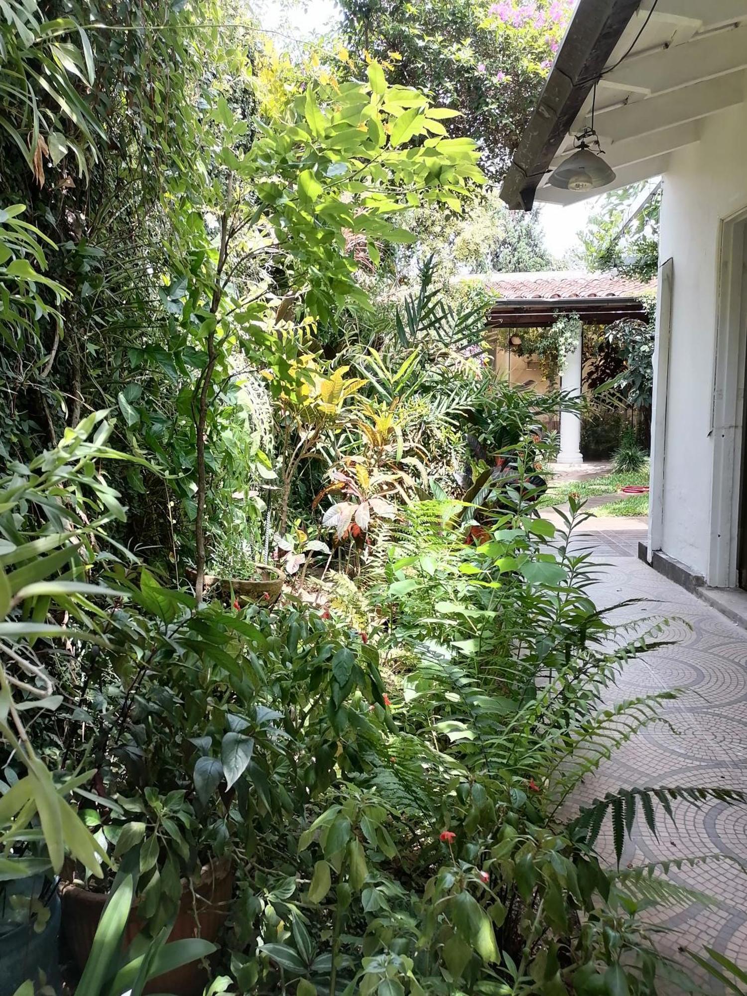 Granados Bed & Breakfast Asuncion Ngoại thất bức ảnh
