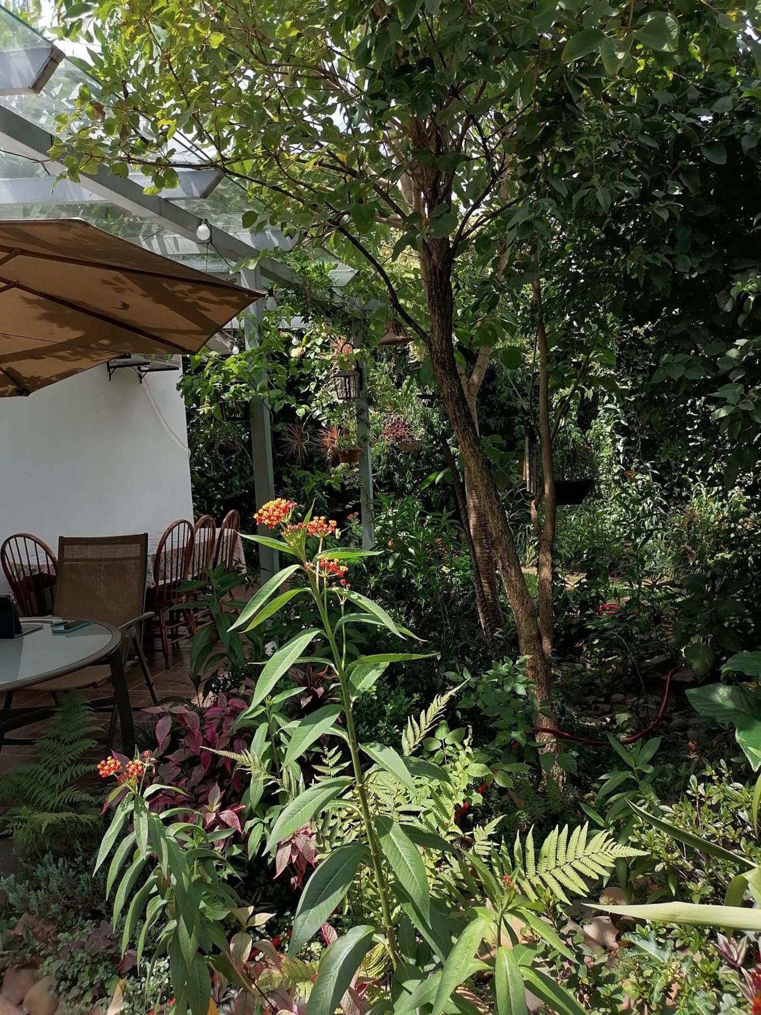 Granados Bed & Breakfast Asuncion Ngoại thất bức ảnh