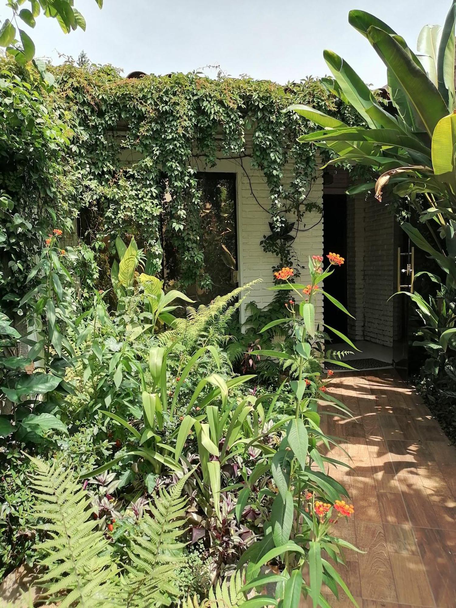 Granados Bed & Breakfast Asuncion Ngoại thất bức ảnh