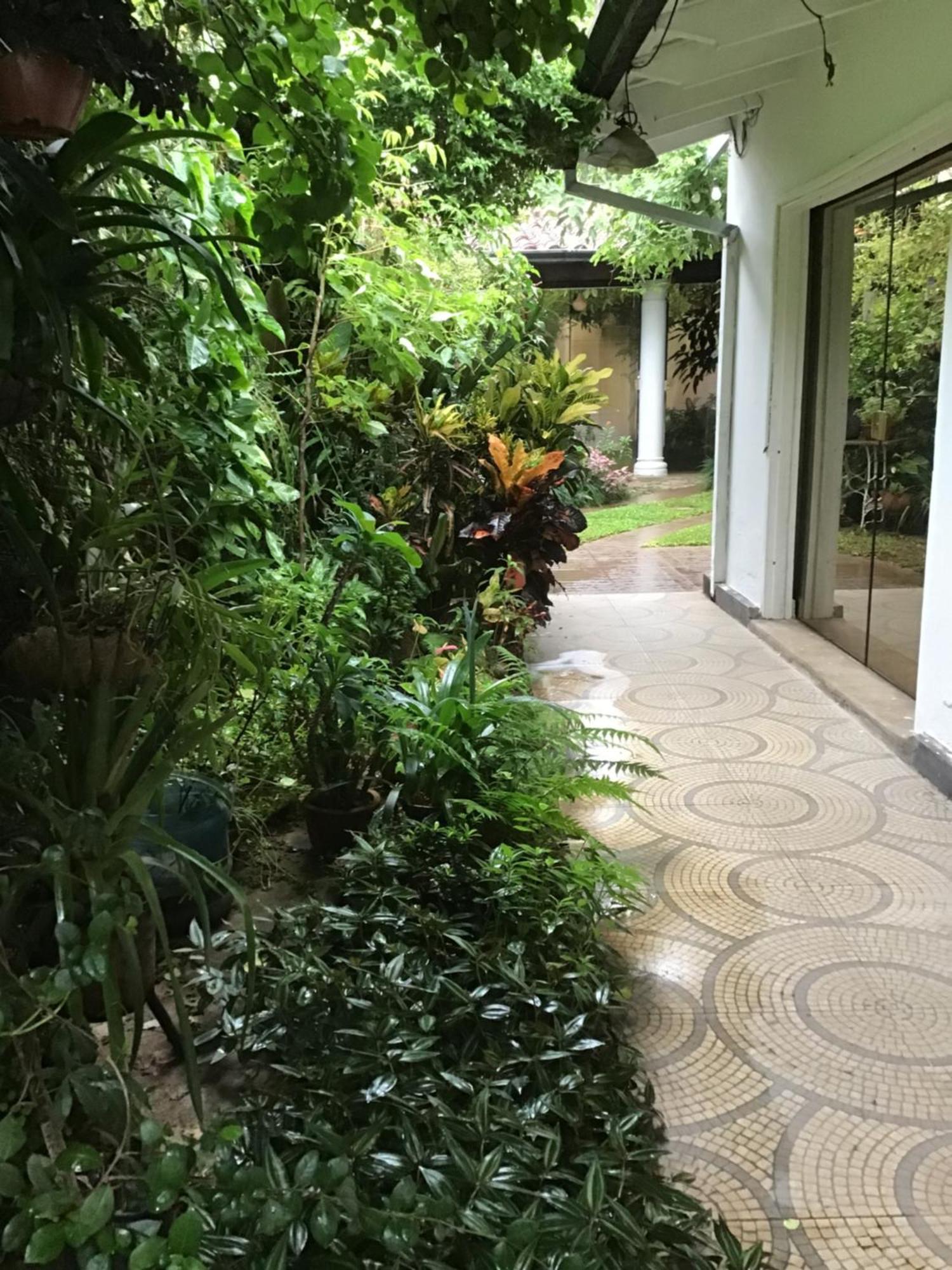 Granados Bed & Breakfast Asuncion Ngoại thất bức ảnh