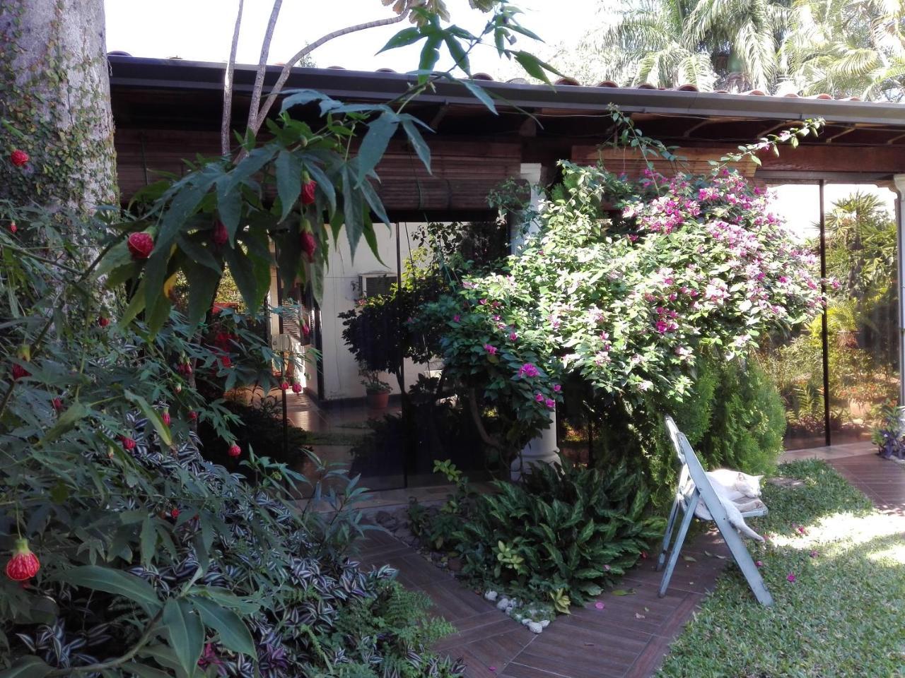 Granados Bed & Breakfast Asuncion Ngoại thất bức ảnh