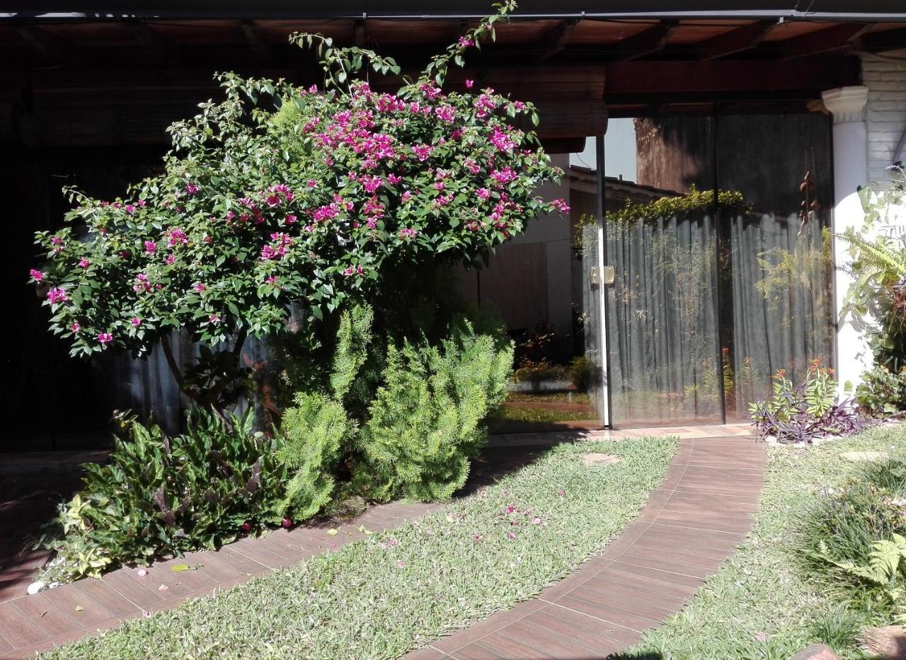 Granados Bed & Breakfast Asuncion Ngoại thất bức ảnh
